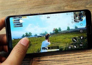 华为手机怎么玩荒野