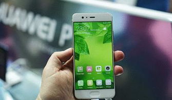 手机类型怎么查华为