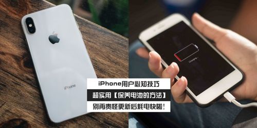 华为手机怎么养chiikawa 华为手机怎么养chiikawa