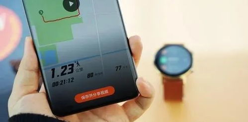 华为手机轨迹怎么显示 华为手机轨迹怎么显示