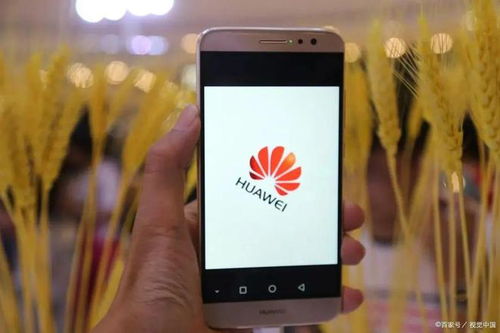 华为手机彩屏怎么解决