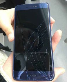 华为手机怎么养蜘蛛