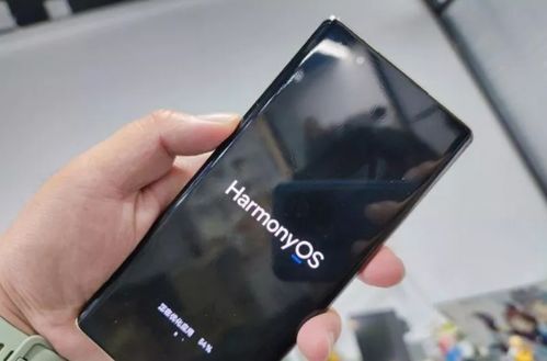 华为鸿蒙手机怎么申请