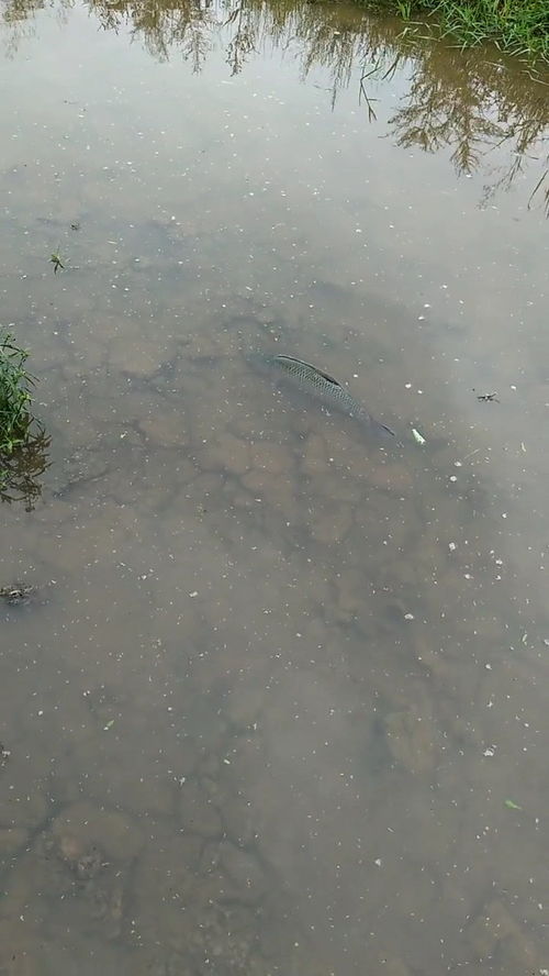 手机桌面怎么锁定华为