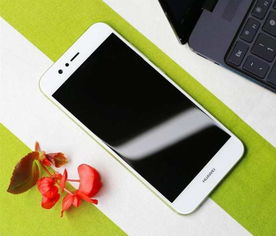 华为手机怎么网络爬墙