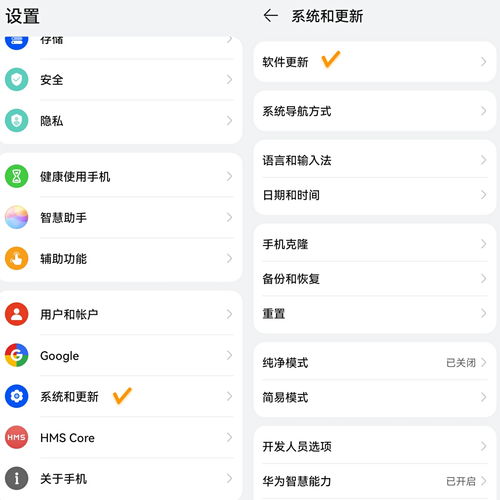 华为手机应用等级怎么