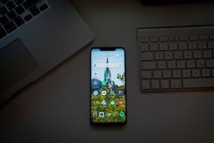 华为手机怎么识别指纹