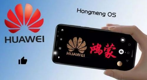 鸿蒙华为手机怎么申请
