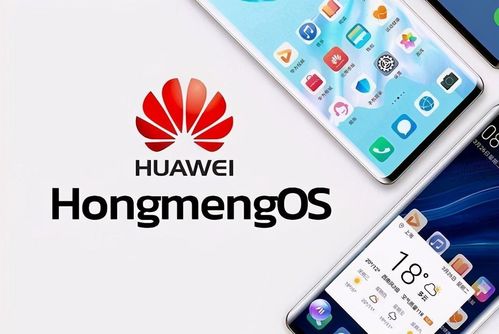 华为手机怎么查品牌 华为手机怎么查品牌