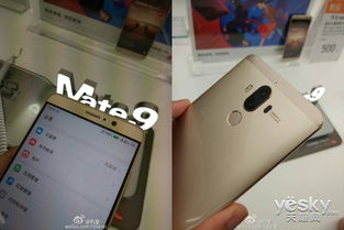 华为mate手机怎么抢