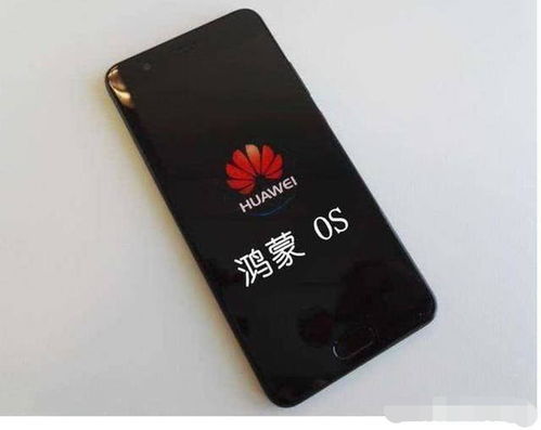 华为手机系统怎么下 华为手机系统怎么下