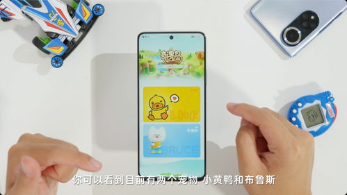 华为手机怎么带宠物 华为手机怎么带宠物
