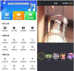 华为手机怎么支持应用 华为手机怎么支持应用