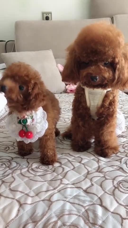华为手机怎么同步桌面 华为手机怎么同步桌面