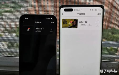 华为手机测速怎么开 华为手机测速怎么开