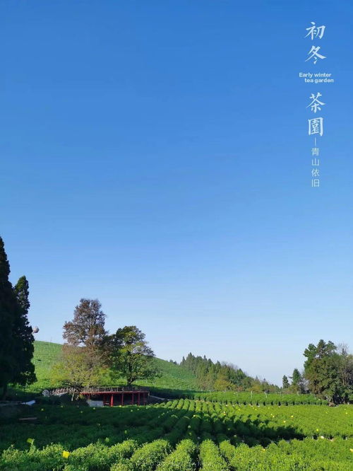 华为手机怎么画好看