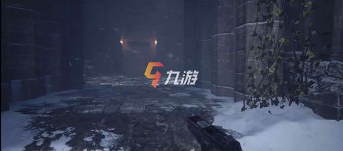 mgbuster游戏攻略 VS 生化危机8开局游戏攻略 mgbuster游戏攻略 VS 生化危机8开局游戏攻略