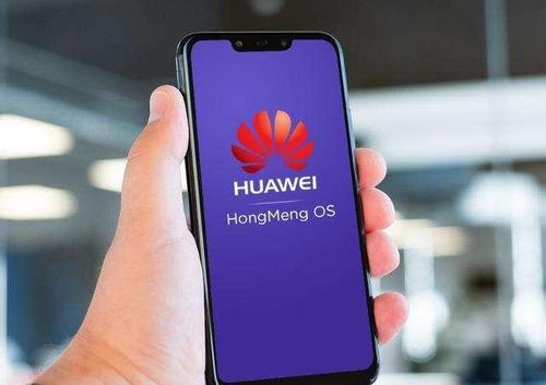 华为手机鸿蒙怎么申请 华为手机鸿蒙怎么申请