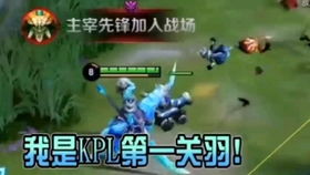 沙雕游戏夫妻游戏攻略 VS 经营游戏过关游戏攻略