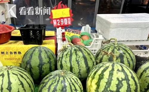 西瓜价格大跳水 西瓜价格大跳水