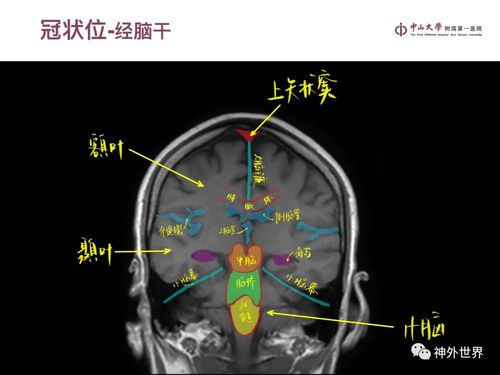 橙光游戏攻略游戏推荐 VS stesam攻略游戏 橙光游戏攻略游戏推荐 VS stesam攻略游戏