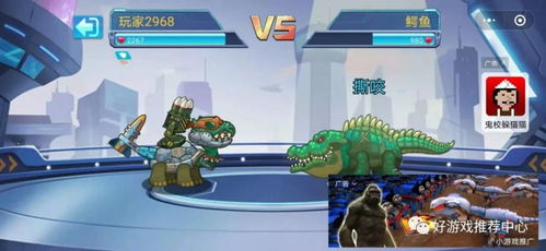 乌龟公园游戏攻略 VS 青春游戏攻略 乌龟公园游戏攻略 VS 青春游戏攻略