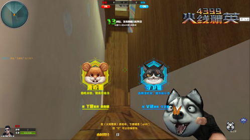 游戏找猫小游戏攻略 VS 真实见面游戏攻略 游戏找猫小游戏攻略 VS 真实见面游戏攻略