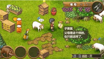 红色绵羊游戏攻略 VS 啤酒游戏攻略