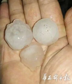 咸阳多地突降鸡蛋大冰雹 咸阳多地突降鸡蛋大冰雹