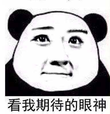 photographes游戏攻略 VS 交换孩子攻略游戏