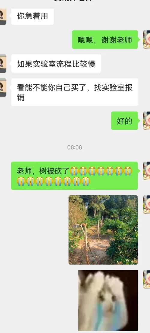 农学生的“毕业论文”又被偷了