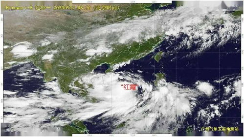 台风红霞