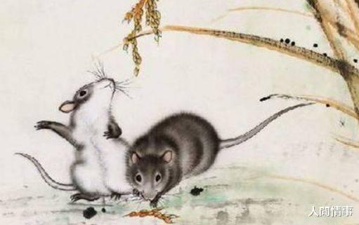 同乡：王虹16岁考上北大时家人很平静