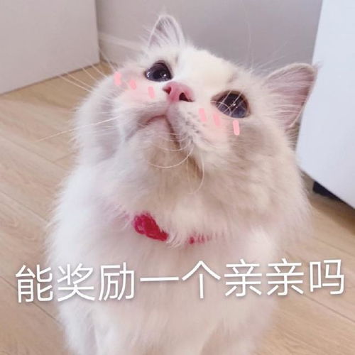 博三女生没结婚问亲戚：谁笑话我妈了