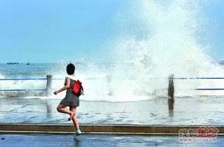 上百斤重水泥柱被巨浪拍断冲上岸