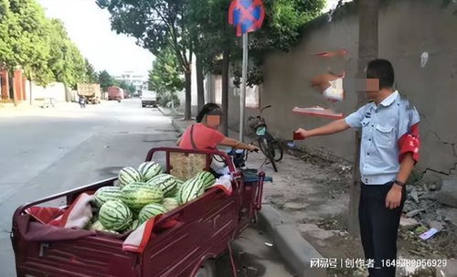 河南瓜农控诉有网红博流量低价收瓜