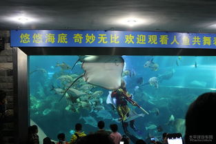 长沙海底世界小游戏攻略 VS 闲鱼之王游戏游戏攻略 长沙海底世界小游戏攻略 VS 闲鱼之王游戏游戏攻略
