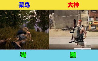 返乡游戏攻略 VS 鲁宾逊游戏攻略 返乡游戏攻略 VS 鲁宾逊游戏攻略
