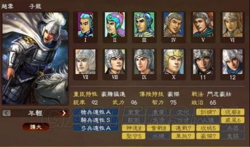 三国志游戏攻略赵云技能 VS 三个大人游戏攻略