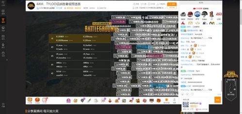 弹幕游戏攻略 VS 汉字游戏自助游戏攻略 弹幕游戏攻略 VS 汉字游戏自助游戏攻略