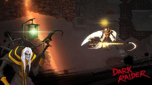 darkraider游戏攻略 VS 植物撒娇游戏攻略